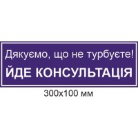 Табличка 300х100 мм Идет консультация